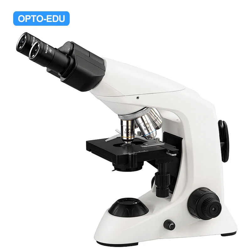 Biological Microscope Model : A12.6603.B