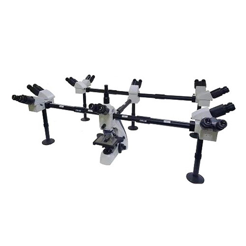 Multi-Viewing Microscope, 10 People Model : A17.1113